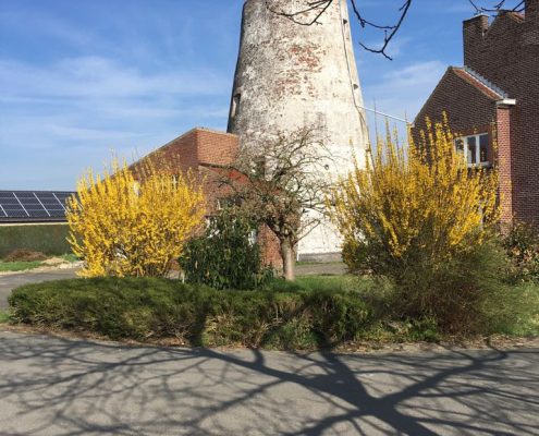 Flietermolen Tollembeek